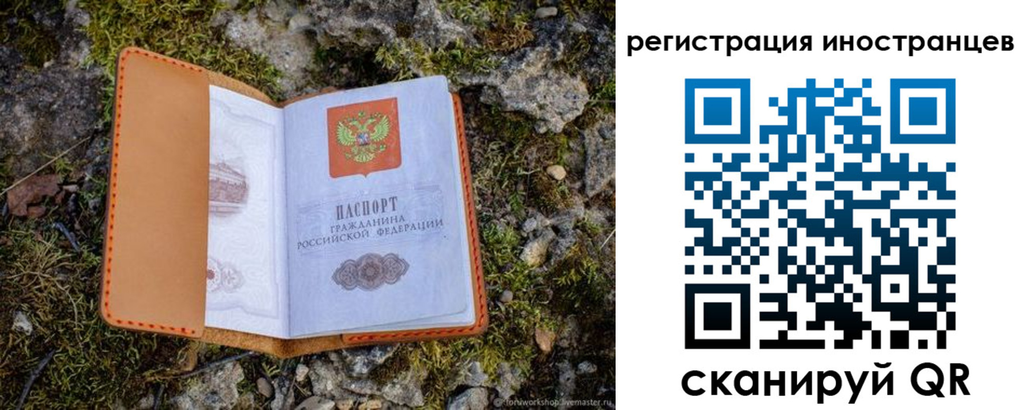 прописка паспорт в Камышине