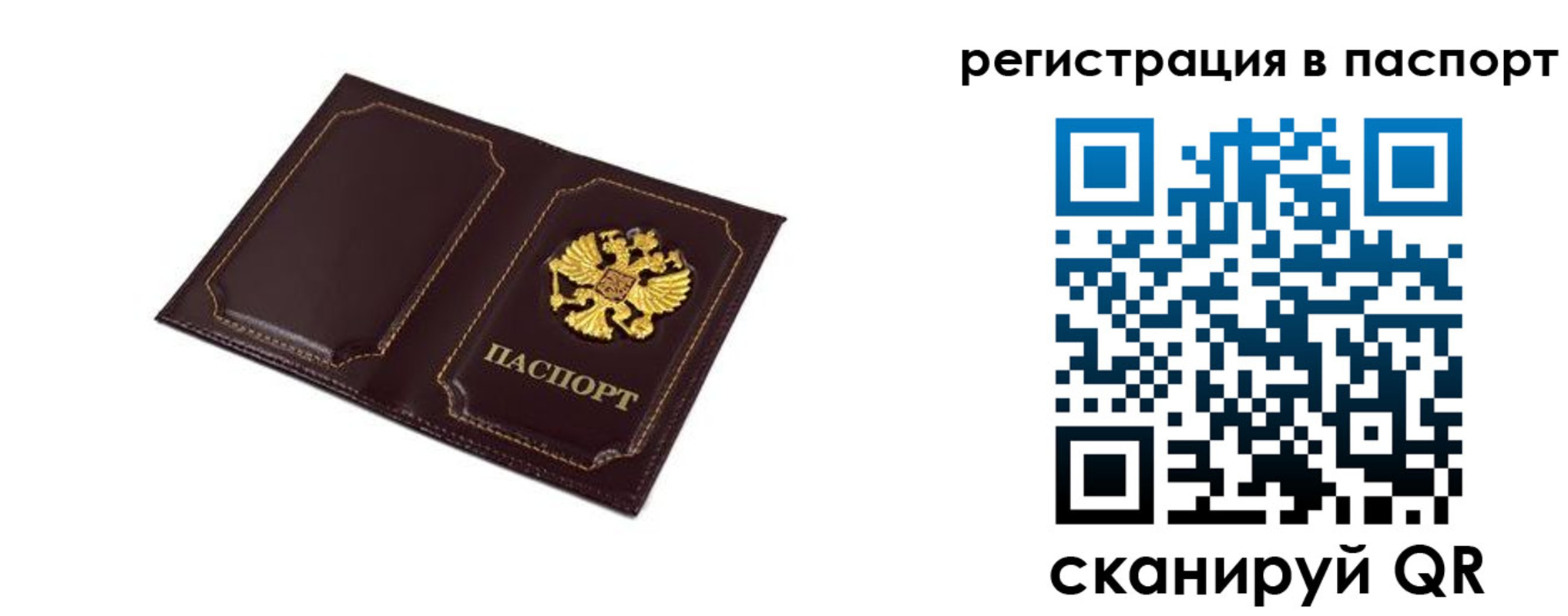 миграционный учет в Камышине