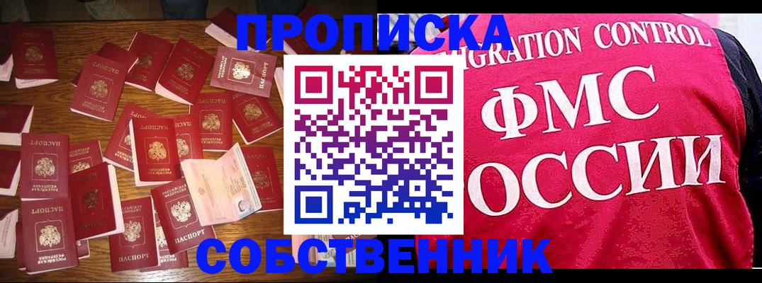 найти адрес прописки в Камышине